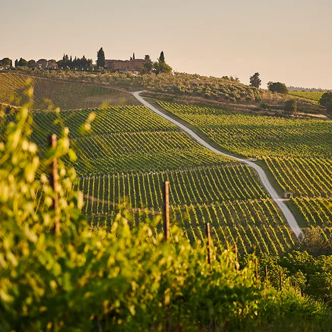 property-manager-colline-chianti